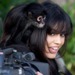 Monkey business!