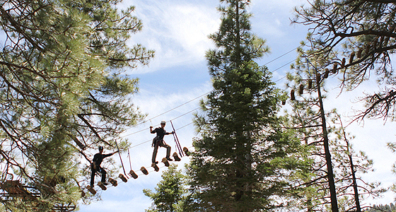 Navitat Canopy Adventures