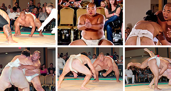 Photo courtesy of SumoByamba.com