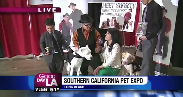 Southern California Pet Expo