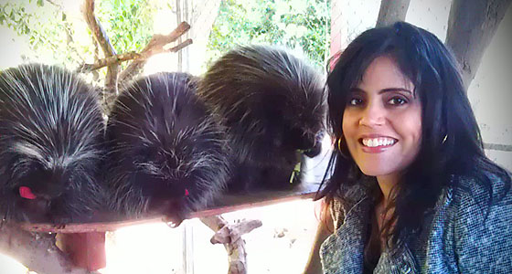 Mar Yvette & porcupines