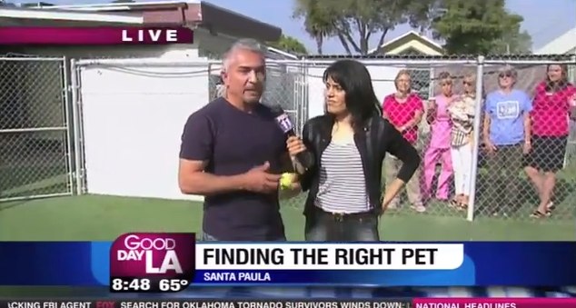 Cesar Millan at Santa Paula Animal Rescue Center