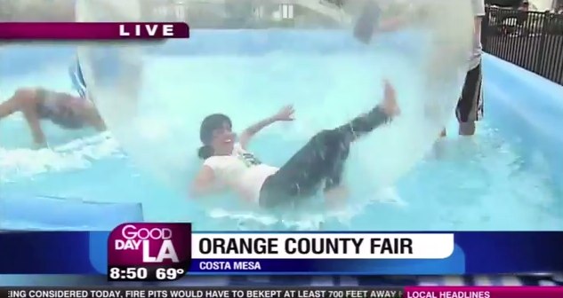 OC Fair 2013