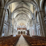 Amazed by the ribbed vault ceiling