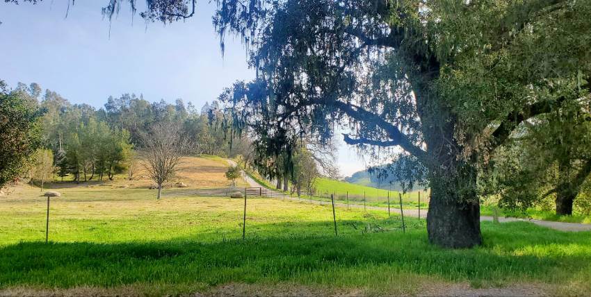 Alcohol-free guide to Paso Robles wine country