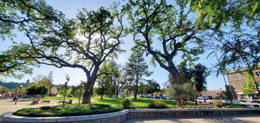 Alcohol-free guide to Paso Robles: Downtown park