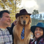 Idyllwild, CA: Why I Keep Going Back to This Tiny Mountain Town